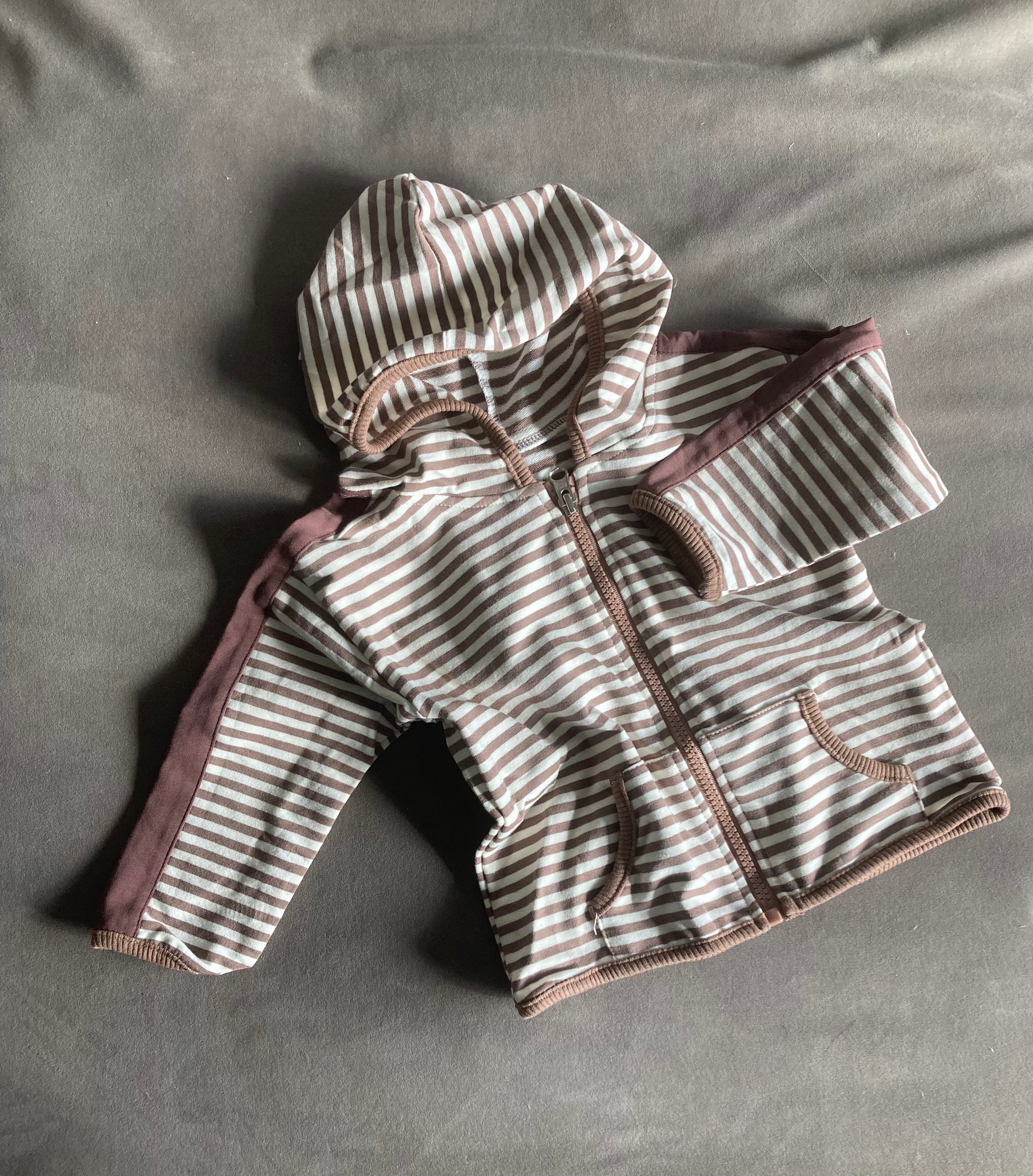 Stripe Hooded Sweatshirt (Brown)